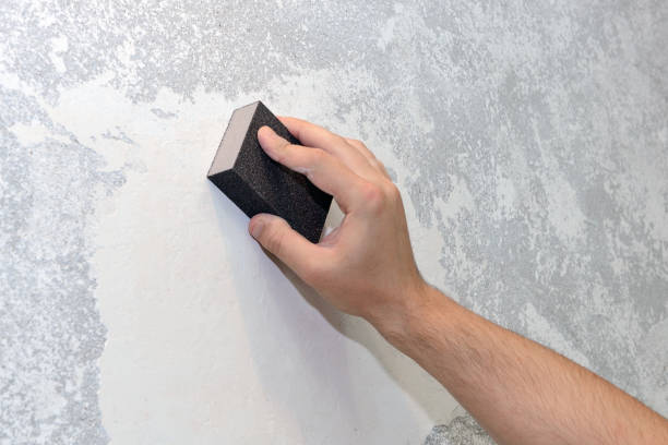 Forensic Mold Investigation in Stewartville, AL