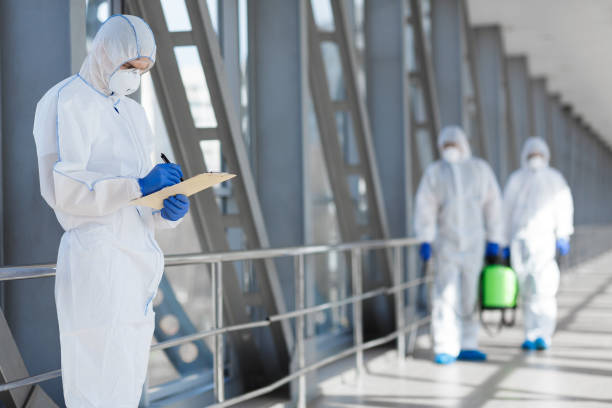 Best Basement Mold Removal  in Stewartville, AL