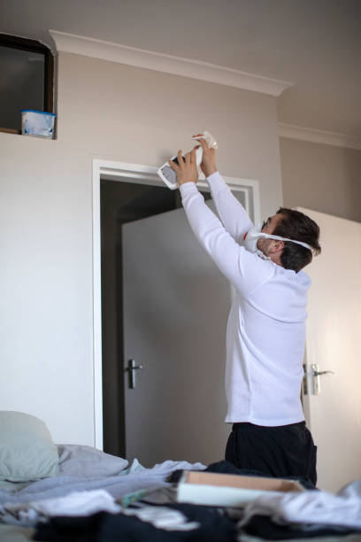Best Environmental Consulting for Mold Prevention  in Stewartville, AL