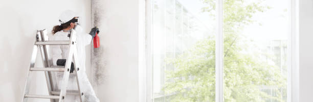 Best Real Estate Mold Inspection  in Stewartville, AL