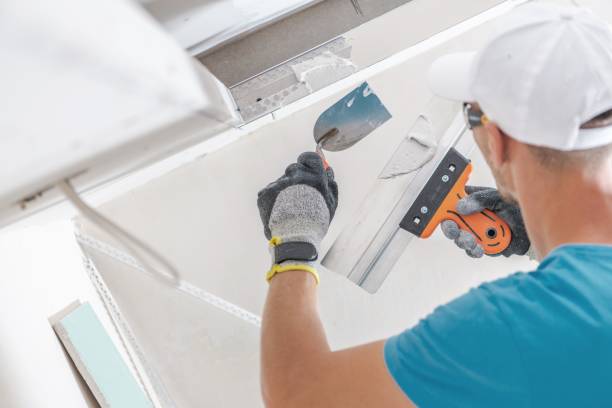 Best Mold Documentation for Insurance Claims  in Stewartville, AL